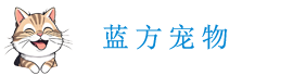 Wholesale of pet supplies, customization of pet supplies, pet clothing, pet leash